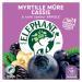 Elephant Flavored Infusion Blueberry Blackcurrant & Vanilla Taste Rainforest Alliance Certified 100% Natural Origin Ingredients