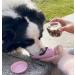 Portable 550ml Dog Water Bottle & 100ml Feed Bottle - Cotop Travel Bottle for Small Dogs - Blue - Buy Online on GoSupps.com