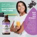 Black Elderberry Tincture Organic Black Elderberry Extract Extract for Immune Support (Sambucus Nigra) | 2 Fl Oz (1 Pack - 2 Fl Oz) 2 Fl Oz (Pack of 1) - Buy Online on GoSupps.com