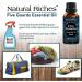 Five Guards Essential Oil Blend 30ml - Clove, Cinnamon, Lemon, Rosemary, Eucalyptus Aromatherapy Oil for Health Shield - 1 Fl Oz - Buy Online on GoSupps.com