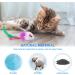 Molain 12 Pieces Cat Mice Toys Furry Cat Toy Interactive Toys Cat Mouse Animals Toys for Indoor Cats and Kittens - Buy Online on GoSupps.com