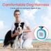 Pawaii XS Dog Harness for Small Dogs - Anti-Pull Reflective Adjustable Breathable Chest Harness with Handle - Deep Sea Blue - Buy Online on GoSupps.com