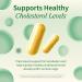 Snap Supplements Cholesterol Health + Liver Health Support Supplements 60 Vegetarian Capsules Each - Buy Online on GoSupps.com