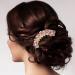 Beaupretty Hair Jewelry Hair Accessories for Women Bridal Hair Accessories Wedding Hair Accessories Decorative Hair Comb Wedding Hair Combs Bridal Hair Comb The Flowers Hair up Alloy Bride Pink - Buy Online on GoSupps.com