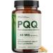 PQQ Supplement 40 MG | High Strength Pyrroloquinoline Quinone for Mitochondrial Biogenesis Cellular Energy & Brain Health Support | Mitochondria Supplement | Third-Party Tested Non-GMO | 60 Ct 40mg
