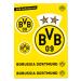 Borussia Dortmund BVB sticker set