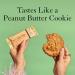 Truvani Peanut Butter Plant-Based Snack Bar - USDA Organic, Vegan, Non-GMO, Gluten & Dairy-Free - Buy Online on GoSupps.com