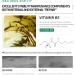DEleventh Korean Brand Vitamin B5 Face Serum 30ml / Hydrate and Soothe Skin with Centella Asiatica Sodium Hyaluronate and Ceramide NP for a Calm Nourished and Radiant Complexion - Buy Online on GoSupps.com