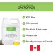 Castor Oil 946 ml / 32 oz -100% Pure & Natural Castor oil Cold pressed Hexane free for Hair Eyelashes Eyebrows Lash Beard Skin Multipurpose carrier oil for essential oils Huile de ricin pour cheveux Amson Naturals 946 ml (Pack of 1) - Buy Online on GoSupps.com
