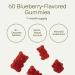 Nutriissa Flaxseed Gummies Digestive Health & Omega Support EPEB Certified for Purity & Potency 60 Blueberry Flavored Vegan Gummies - Buy Online on GoSupps.com