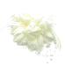 Ladies Feather Beaded Beak Clip Fascinator Weddings Races Royal Ascot Hair Piece Ivory