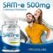 OjosLabs Sam e 500mg Methionine Supplement for Liver Joint Brain and Mood Support High Absorption SAM-e (S Adenosyl Methionine) Vegan Gluten Free Non-GMO-USA Made 60 Sam e Capsule (2 Pack) - Buy Online on GoSupps.com