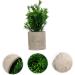 TOPBATHY False Green Plant 5 Pcs Simulated Potted Plant Pulp Potted Plants Household Fake Trees Artificial As Shownx5pcs 21.5x8cmx5pcs - Buy Online on GoSupps.com