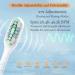 Buy Foldable Electric Toothbrush - UV-Clean Sonic Brush for Adults 4 Brush Heads Fast USB-C Rechargeable Travel Toothbrush - White - Buy Online on GoSupps.com