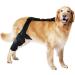 Fovolat Dog Behind Leg Brace - Dog ACL Knee Support Brace | Rear Leg Stabilizer for Small Dogs Neoprene Hip Brace with Adjustable Traction Belt for Cruciate Ligament Injury Joint M right - Buy Online on GoSupps.com