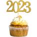 48pcs 2023 Graduation Cupcake Toppers Baking Decoration Exquisite Grad Cap Set Food Appetizer Picks For Graduation Party Graduation Toppers - Buy Online on GoSupps.com