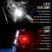 SAMLITE LED Bike Light Set: Bright Headlight for Kids & Adults, Free Tail Light, Water Resistant, Easy Install, Multiple Modes - Cycling Safety - Buy Online on GoSupps.com