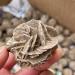 FACSER Natural Crystal Rough Natural Crystal Rough Natural Desert Rose Raw Crystal Stone Decor Home Decoration (Size : 60-80g) - Buy Online on GoSupps.com