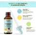 Dr Corbyn Pets D-Mannose Drops - 50ml | Urinary Tract & Bladder Health Support for Dogs and Cats | Cystitis Support | Natural and Easy to Use - Buy Online on GoSupps.com