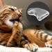 Tmishion Cat Nail Caps & Dog Paw Protective Sleeves - 100 Soft Anti-Scratch Caps (XS Ice White) | Claw Covers for Cats & Dogs - Buy Online on GoSupps.com