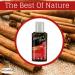 Nature Max Cinnamon Oil Pure Natural Cold Pressed Concentrated Crude Perfect Fresh For Hair Skin Cooking No Gmo No Additives Kosher Halal (1 Pack 2.70 oz / 80 ml)  - Buy Online on GoSupps.com