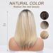 Bestung Ombre Blonde Layered Synthetic Wig with Dark Roots - Natural Looking Wig for Women at Parties (Shoulder Length) - Buy Online on GoSupps.com