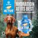 oralade Active Isotonic Hydration Fluid For Dogs Chicken Duck Or Vegetable 250ml (Chicken 6 Pack) - Buy Online on GoSupps.com