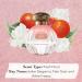 Tocca Belle Women's Perfume 1.7oz (50 ml) - Fresh Floral Italian Bergamot Petit Grain and White Freesia 1.7 Fl Oz (Pack of 1) - Buy Online on GoSupps.com