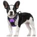 Rabbitgoo dog harness medium -sized dogs anti train crockery dog with control no pull adjustable dog dishes large dogs breathable reflex stripes breast harness dog safe guidance purple s s (1 Pack) purple