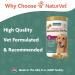 NaturVet Glucosamine DS Plus Moderate Care - 240 Soft Chews for Joint Health (1 lb 4 oz) | Best Pet Supplement - Buy Online on GoSupps.com