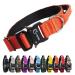 Tspro premium dog collar with handle thick adjustable dog collar heavy execution of quick lock metal buckle dog collar for small or medium-sized to extra large dogs (orange-m) handle version size M- (adjustable37-46cm) orange