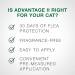 Advantage II Flea Treatment for Small Cats (5-9 lbs) - 2-Pack | Fast-Acting Flea Prevention for Small Cat Breeds - Buy Online on GoSupps.com