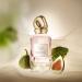 Donna Karan Cashmere Collection Wild Fig Eau de Parfum Perfume Spray For Women 3.4 Fl. Oz. - Buy Online on GoSupps.com