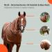 RL24 Eczema Ceiling for Horses | Light Brown | Protective Flying Sheet with Neck & Abdomen | Fine-Meshed Double Closure & Leg Cords | 115cm - Buy Online on GoSupps.com