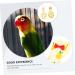 POPETPOP 6 PCS Parrot Flight Suit - Diapers for Birds Pigeon Flight Suit & Conure Harness - Cotton Set (3 Yellow 3 Mixed Colors) - Buy Online on GoSupps.com