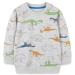Boys Sweatshirt for Kids Dinosaur Jumper Cotton Casual Top Long Sleeve Pullover T-Shirt Toddler Girls Shirts Baby Clothes 1-8 Years 3-4 Years Dinosaur 07