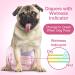 Flying Paws Disposable Dog Diapers - Adjustable XS Diapers for Dogs & Cats | 10-40 Pack Perfect for Puppies & Senior Pets - Buy Online on GoSupps.com
