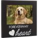 Pet Memorial Frame - Pearhead Forever In My Heart Black Frame - Buy Online on GoSupps.com