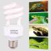 Dernord UVB & UVA Light Bulb 5.0 - 15W Compact UV Lamp for Lizards Geckos Turtles & Snakes - Ideal for Reptile Habitat - Buy Online on GoSupps.com