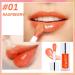 AIQIUSHA Lip Oil | Tinted Plumping & Hydrating Gloss | Long Lasting Color Reviver (Raspberry) - Nourishing Non-Sticky Formula for Luscious Lips - Buy Online on GoSupps.com