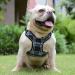 Elevant Dog Harness Adjustable Step-in Reflective Breathable Harness Soft Padded Lightweight Vest Harness with Front Clip Escape Proof Easy Control for Outdoor Walking Training (M Black Plaid) M Black Plaid - Buy Online on GoSupps.com