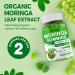 Moringa Gummies for Women Men w/Probiotic Turmeric Ginger Ceylon Cinnamon Sugar Free Organic Moringa Powder Capsules Alternatives Pure Moringa Leaves Green Superfood Supplement - Vegan 120Cts 60 Count (Pack of 2) - Buy Online on GoSupps.com