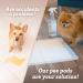 40Pcs Dog Pee Pads Extra Large Disposable Dogs Training Potty Pad Leak-Proof Puppy Pads Pet Training Pads Strong Absorption Floor Mat for Dogs Cats Rabbits(32 x 36 inch) - Buy Online on GoSupps.com