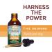 Host Defense Chaga Extract 2 fl oz - Antioxidant & DNA Support Mushroom Supplement - Buy Online on GoSupps.com