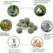 10pcs Barley Ears Chew Toys for Small Animals | Rabbit, Hamster, Guinea Pig | Teeth Grinding & Boredom Breakers - Buy Online on GoSupps.com