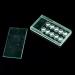 Dental Stones 10 Pcs - 2mm Tooth Crystal Ornaments & Jewelry Decorations | White Teeth Gems in Box - Buy Online on GoSupps.com