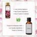 PHATOIL Cherry Fragrance Oil - 10ml for Diffuser, Aromatherapy, Soap & Candle Making - Buy Online on GoSupps.com