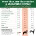 Doggie Dailies Glucosamine for Dogs - 225 Chews - Joint Supplement for Dogs of All Breeds & Sizes - Hip and Joint Supplement for Dogs - Premium Glucosamine and Chondroitin for Dogs Peanut Butter - Buy Online on GoSupps.com