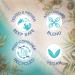 STREAM 2 SEA Daily Hydration BB Cream SPF 20 | Reef Safe Paraben Free Tinted Moisturizer 2 fl oz - Buy Online on GoSupps.com