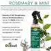 Difeel Rosemary & Mint Strengthening Leave-In Spray w/ Biotin 8 oz - Natural Hair Growth Treatment - Buy Online on GoSupps.com